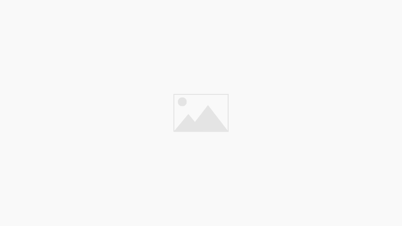 Ingeniería en Gestión Forestal